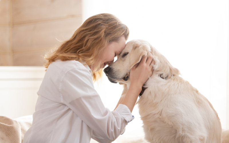 一位女性飼主溫柔地與金毛犬額頭相貼，這是寵物日常護理的一部分，增強飼主與寵物的情感聯繫。