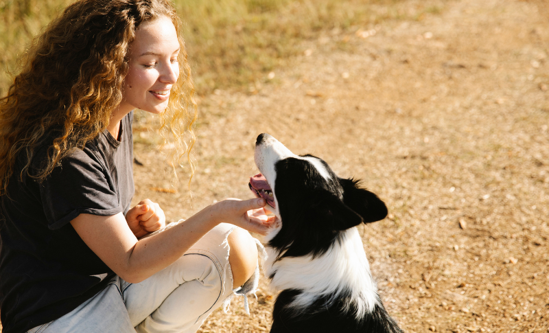 一名女性與她的邊境牧羊犬在戶外互動，顯示出邊牧對主人的依賴和忠誠。邊牧非常適合熱愛陪伴犬隻的人士。